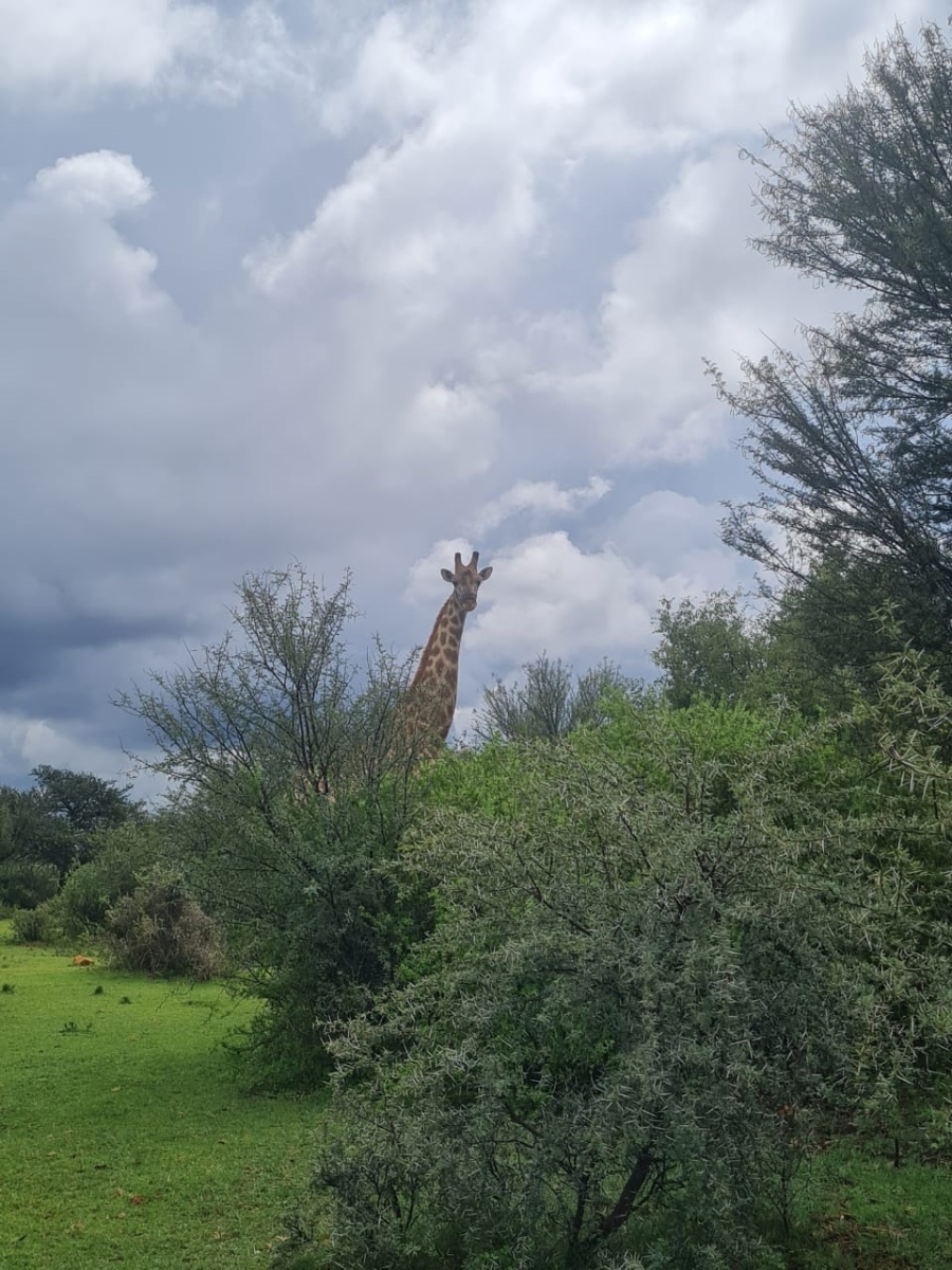 Commercial Property for Sale in Boshof Rural Free State